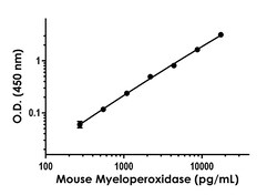 Abcam Mouse Myeloperoxidase Antibody Pair - BSA and Azide free (MPO), 10 x 96 Tests