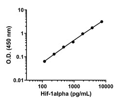 Abcam Mouse HIF-1 alpha Antibody Pair - BSA and Azide free, 10 x 96 Tests