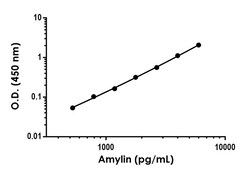 Abcam Amylin Antibody Pair - BSA and Azide free, 10 x 96 Tests