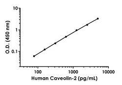 Abcam&nbsp;Human Caveolin-2 Antibody Pair - BSA and Azide free, 10 x 96 Tests