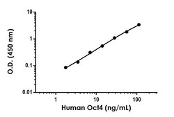 Abcam Human/Mouse Oct4 Antibody Pair - BSA and Azide free, 10 x 96 Tests