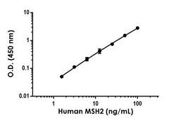 Abcam Human MSH2 Antibody Pair - BSA and Azide free, 10 x 96 Tests