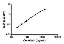 Abcam Calretinin Antibody Pair - BSA and Azide free, 10 x 96 Tests