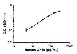 Abcam&nbsp;Human OX40 Antibody Pair - BSA and Azide free (TNFRSF4), 10 x 96 Tests