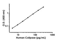 Abcam Human Colipase Antibody Pair - BSA and Azide free, 10 x 96 Tests