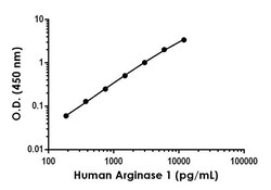 Abcam Human Arginase 1 Antibody Pair - BSA and Azide free, 10 x 96 Tests