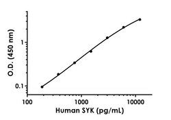 Abcam Human SYK Antibody Pair - BSA and Azide free, 10 x 96 Tests