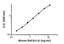 Abcam Mouse/Rat Bcl-xL Antibody Pair - BSA and Azide free, 10 x 96 Tests