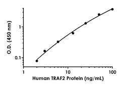 Abcam Human TRAF2 Antibody Pair - BSA and Azide free, 10 x 96 Tests