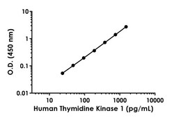 Abcam Human Thymidine Kinase 1 Antibody Pair - BSA and Azide free, 10 x 96 Tests