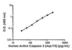 Abcam&nbsp;Human Cleaved Caspase-3 (Asp175) Antibody Pair - BSA and Azide free, 10 x 96 Tests