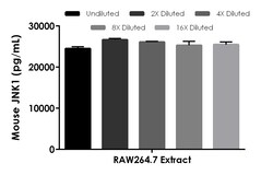Abcam Mouse JNK1 ELISA Kit, 1 x 96 Tests