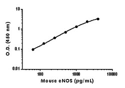 Abcam Mouse eNOS Antibody Pair - BSA and Azide free, 10 x 96 Tests