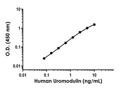 Abcam Human Uromodulin Antibody Pair - BSA and Azide free, 10 x 96 Tests