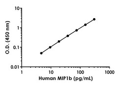 Abcam Human/Monkey CCL4/MIP-1 beta Antibody Pair - BSA and Azide free, 10 x 96 Tests