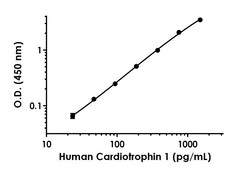 Abcam Human Cardiotrophin 1 Antibody Pair - BSA and Azide free, 10 x 96 Tests
