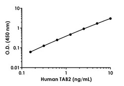 Abcam&nbsp;Human TAB2 Antibody Pair - BSA and Azide free, 10 x 96 Tests