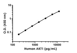Abcam Human AKT1 + AKT3 Antibody Pair - BSA and Azide free, 10 x 96 Tests