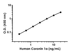 Abcam&nbsp;Human Coronin 1a Antibody Pair - BSA and Azide free, 10 x 96 Tests