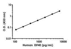 Abcam Human eIF4E Antibody Pair - BSA and Azide free, 10 x 96 Tests