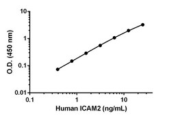 Abcam Human ICAM2 Antibody Pair - BSA and Azide free, 10 x 96 Tests