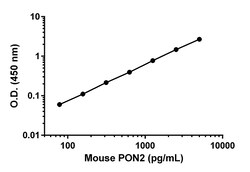 Abcam&nbsp;Mouse PON2 Antibody Pair - BSA and Azide free, 10 x 96 Tests