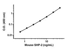 Abcam Mouse SHP-2 Antibody Pair - BSA and Azide free, 10 x 96 Tests