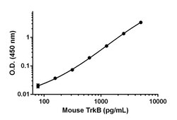 Abcam Mouse TrkB Antibody Pair - BSA and Azide free, 10 x 96 Tests