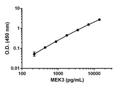 Abcam Human/Mouse MEK3 Antibody Pair - BSA and Azide free, 10 x 96 Tests