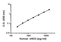 Abcam&nbsp;Human eNOS Antibody Pair - BSA and Azide free, 10 x 96 Tests