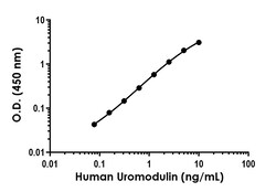 Abcam Human Uromodulin Antibody Pair - BSA and Azide free, 10 x 96 Tests