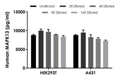 Abcam Human MAPK13 ELISA Kit, 1 x 96 Tests
