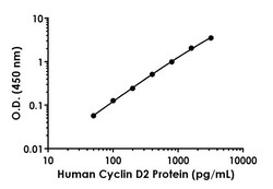 Abcam Human Cyclin D2 ELISA kit, 1 x 96 Tests