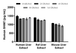 Abcam Human BHMT ELISA Kit, 1 x 96 Tests