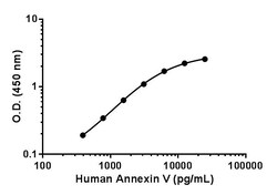 Abcam Human Annexin V Matched Antibody Pair Kit, 5 x 96 Tests