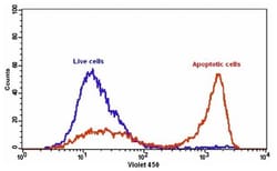 Abcam Annexin V-mFluor Blue 570 Apoptosis Staining / Detection Reagent.