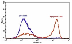 Abcam Annexin V-mFluor Violet 540 Apoptosis Staining / Detection Reagent.