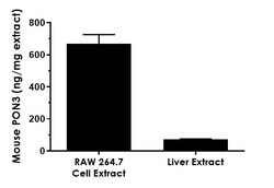Abcam Mouse PON3 ELISA Kit, 1 x 96 Tests