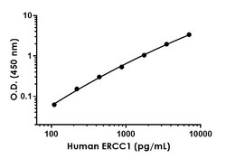 Abcam Human ERCC1 ELISA Kit, 1 x 96 Tests