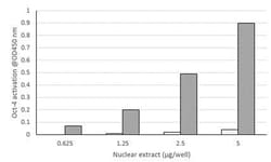 Abcam Oct4 Transcription Factor Assay Kit (Colorimetric).