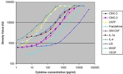 Abcam Rat Cytokine Antibody Array A (10 Targets) - Quantitative.