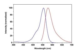Abcam Fixable Cell Viability Assay Kit (Fluorometric - Orange) - Cytopainter.