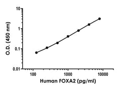 Abcam Human FOXA2 ELISA Kit, 96 Tests