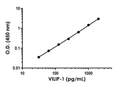 Abcam VILIP1 ELISA Kit, 96 Tests