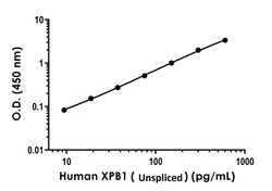 Abcam Human XBP1 (Unspliced) ELISA Kit, 1 x 96 Tests