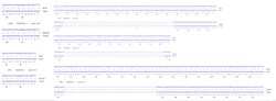 Abcam Human CCR3 knockout A549 cell line