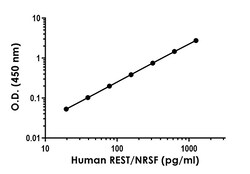 Abcam Human REST / NRSF Antibody Pair - BSA and Azide free, 10 x 96 Tests