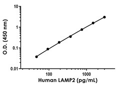 Abcam&nbsp;Human LAMP2 Antibody Pair - BSA and Azide free, 10 x 96 Tests