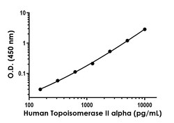 Abcam Human Topoismerase II alpha ELISA Kit, 1 x 96 Tests, Quantity: Each