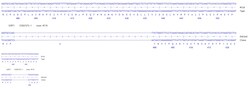 Abcam Human SIRT1 knockout A549 cell line